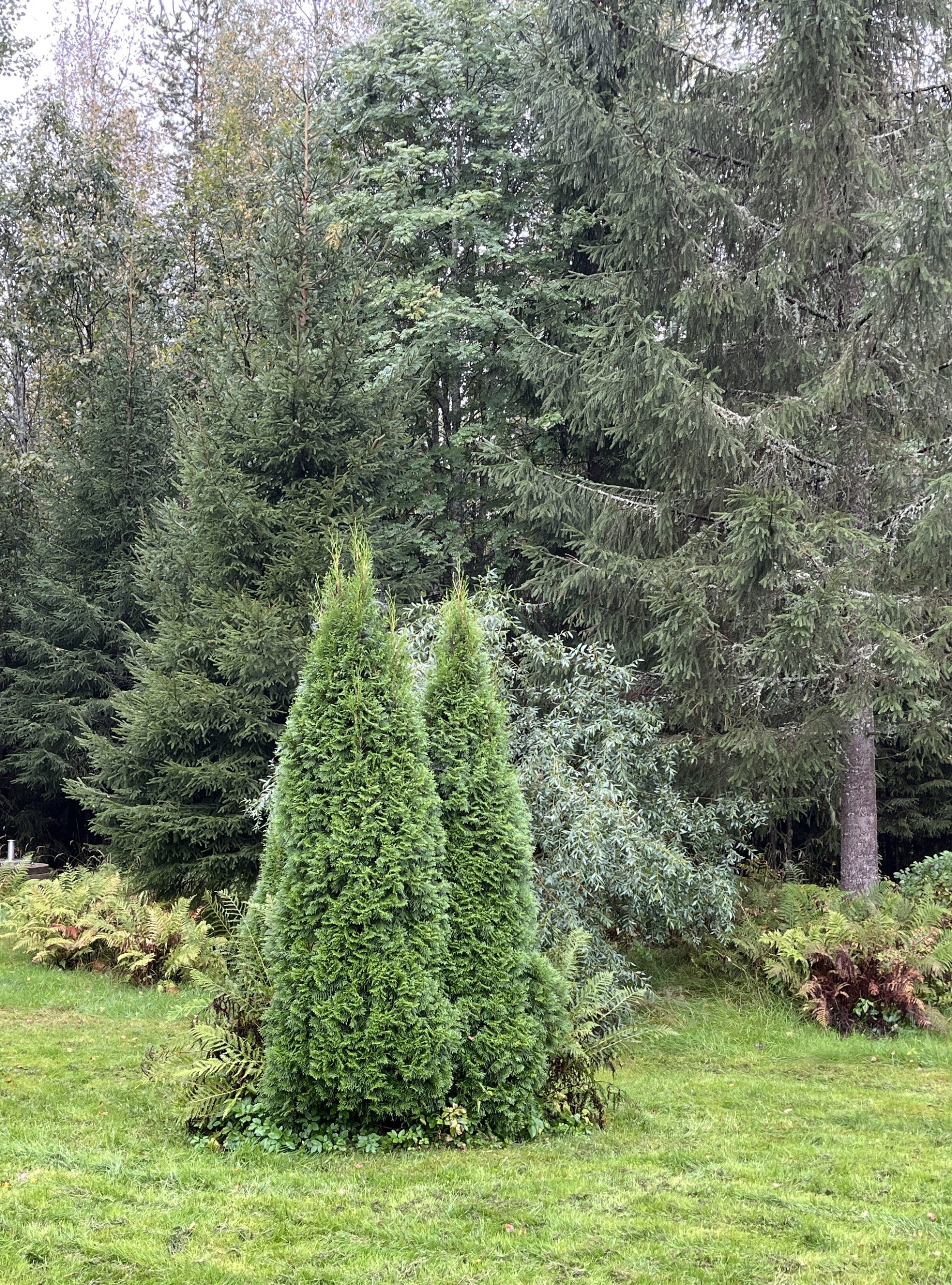 Syyskuu 2025 Syyskuu 2025